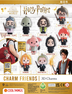 HARRY POTTER  CHARM FRIENDS