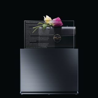 OLED Hide Able Stand Version